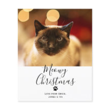 Tarjeta de Navidades de gato Mascota de Navidades
