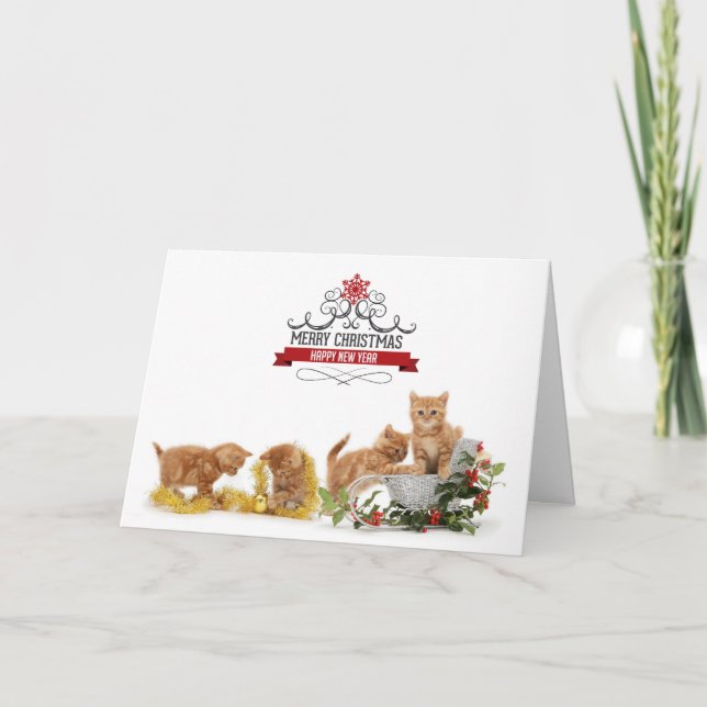 Tarjeta de Navidades de gatos de animales curados (Anverso)