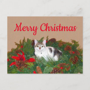Tarjeta de Navidades de gatos en guerra