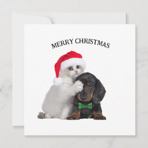 Tarjeta de Navidades de gatos y perros graciosos p