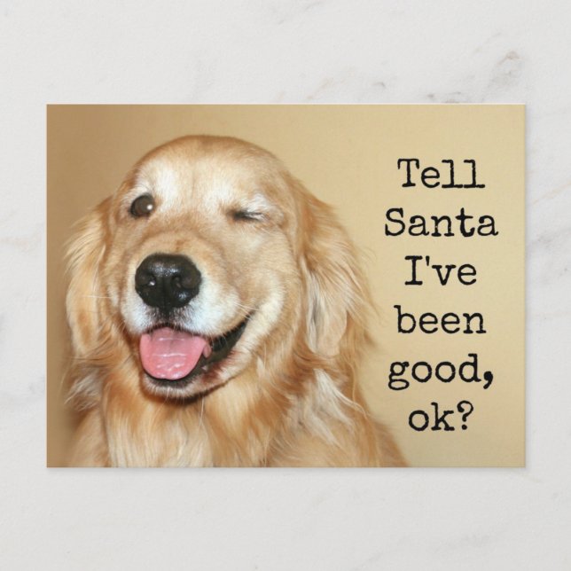 Tarjeta de Navidades de Golden Retriever (Anverso)