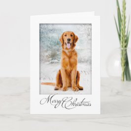 Tarjeta de Navidades de Golden Retriever
