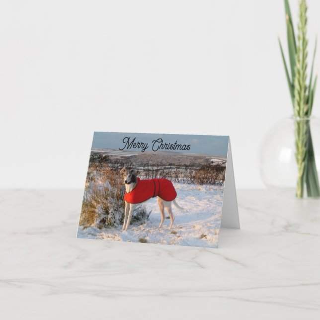 Tarjeta de Navidades de Greyhound - Azul con chaqu (Anverso)