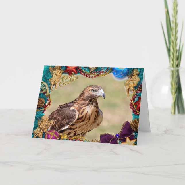 Tarjeta de Navidades de Hawk con cola roja (Anverso)
