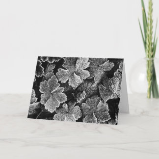 Tarjeta de Navidades de hojas congeladas