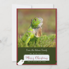 Tarjeta de Navidades de Iguana