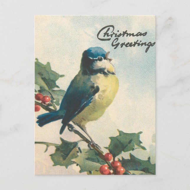 Tarjeta de Navidades de invierno de aves de ilustr (Anverso)