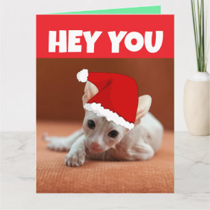 TARJETA DE NAVIDADES DE KITTEN DE CÁRCEL INALÁMBRI