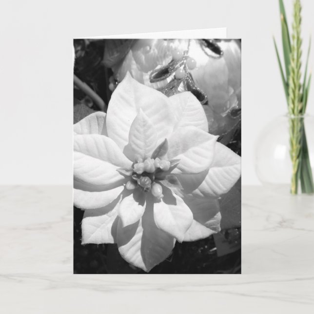 Tarjeta de Navidades de la poinsettia negra y blan (Anverso)