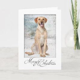 Tarjeta de Navidades de laboratorio amarillos