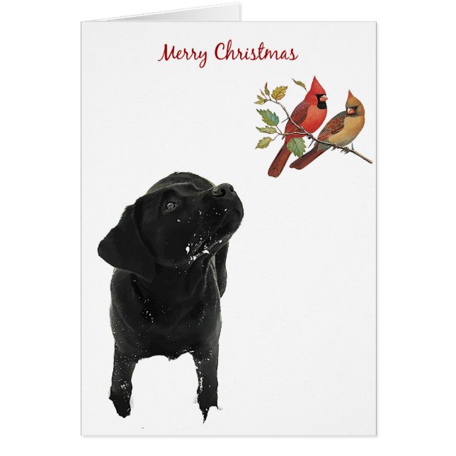 Tarjeta de Navidades de Labrador Negro (Frente)