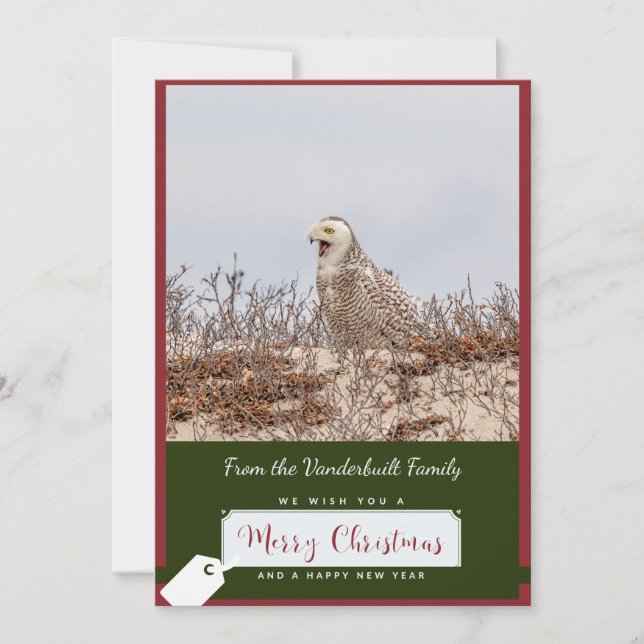 Tarjeta de Navidades de lechuza Snowy (Anverso)