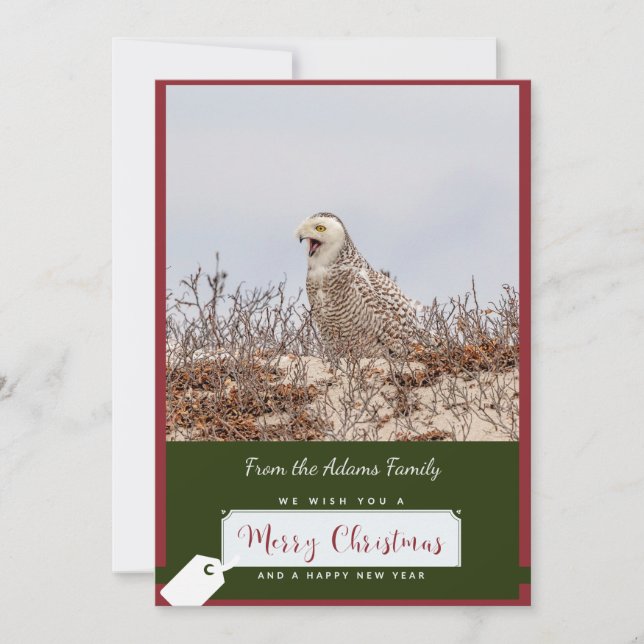 Tarjeta de Navidades de lechuza Snowy (Anverso)