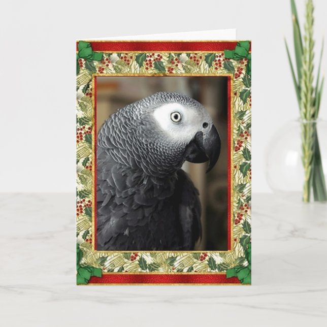 Tarjeta de Navidades de loro gris africano (Anverso)