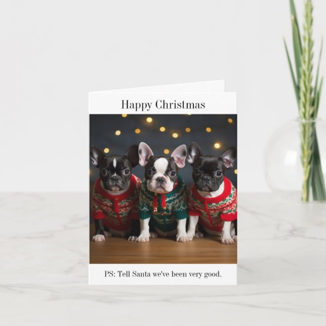 Tarjeta de Navidades de los cachorros de Boston Te (Anverso)