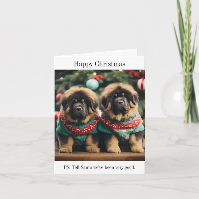Tarjeta de Navidades de los cachorros tibetanos Ma (Anverso)