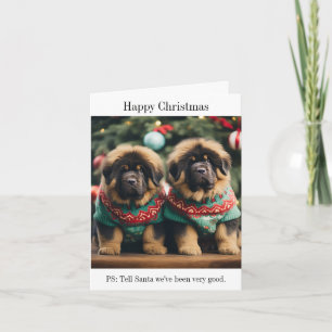 Tarjeta de Navidades de los cachorros tibetanos Ma