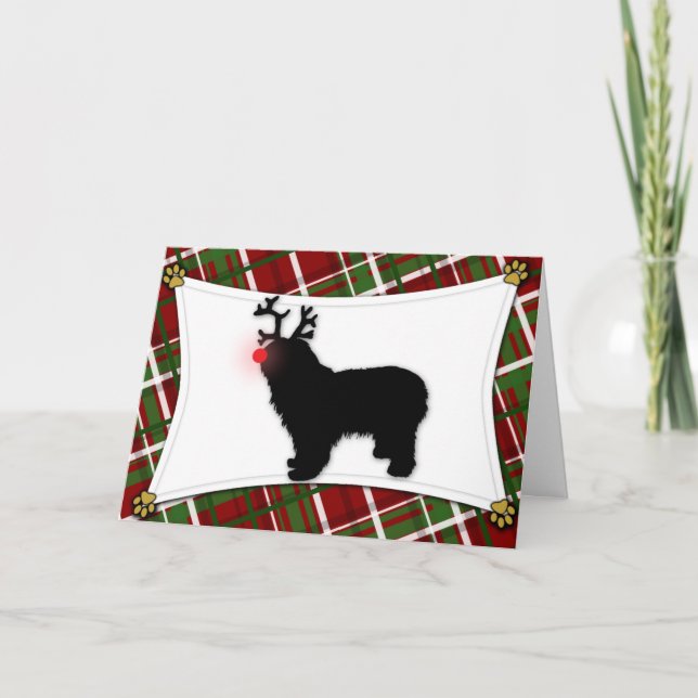 Tarjeta de Navidades de Lowland Sheepdog de Poloni (Anverso)