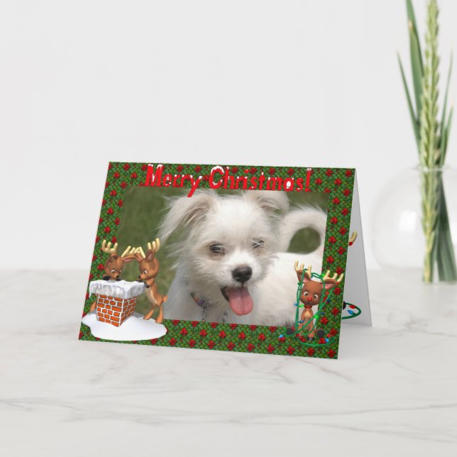 Tarjeta de Navidades de marco fotográfico para ren (Anverso)