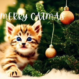 Tarjeta de Navidades de Morerry Catmas Purrfect