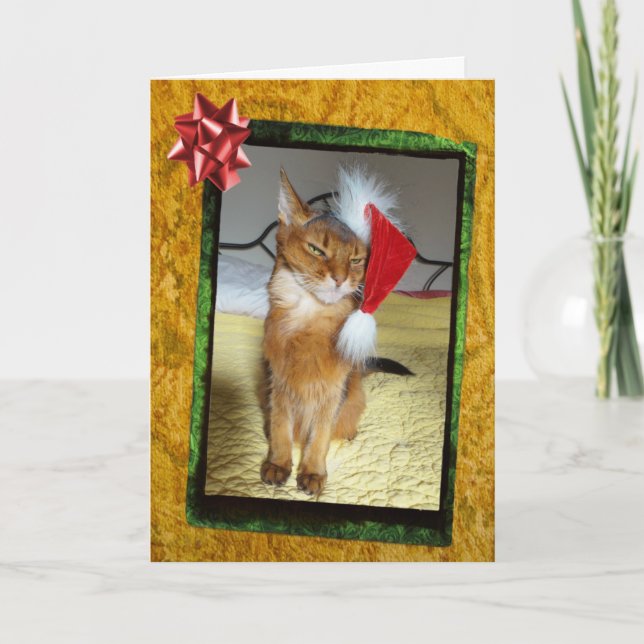 Tarjeta de Navidades de Naughty Kitty (Anverso)