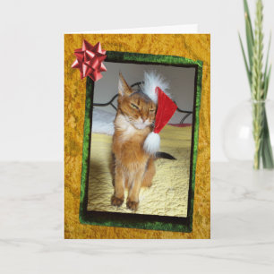 Tarjeta de Navidades de Naughty Kitty