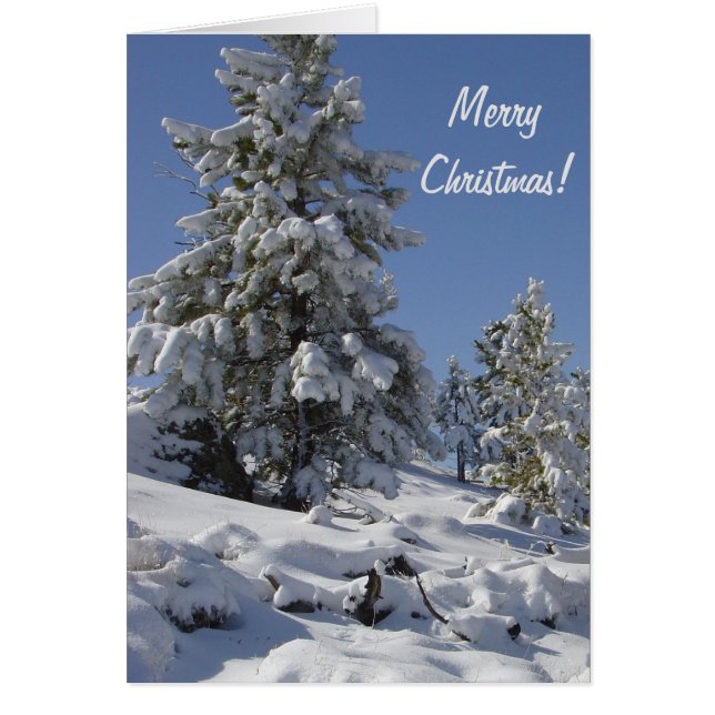 Tarjeta de Navidades de Nieve de la Montaña Colora (Frente)