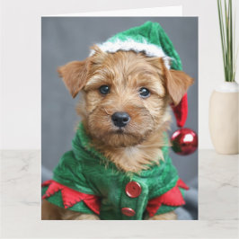 Tarjeta de Navidades de Norfolk Terrier Elf Puppy