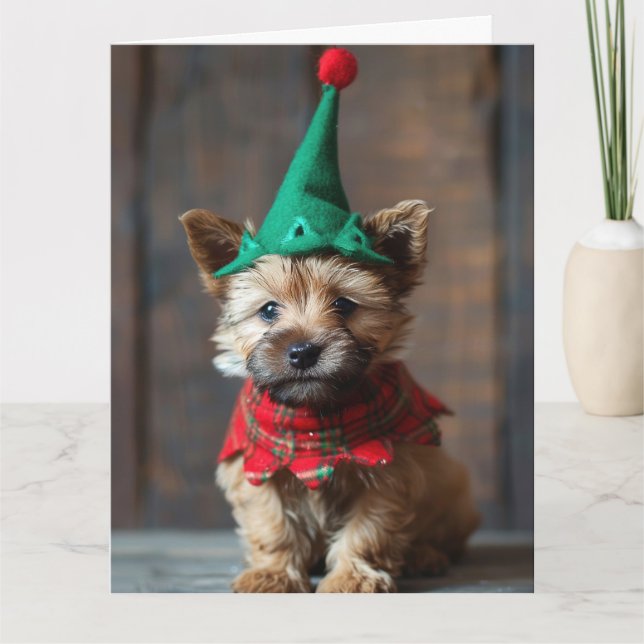 Tarjeta de Navidades de Norwich Terrier Elf Puppy (Anverso)