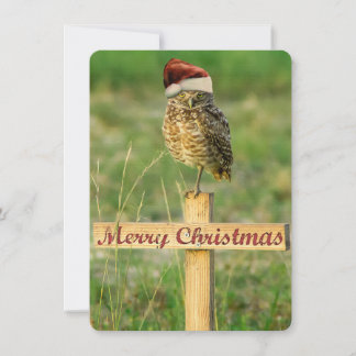 Tarjeta de Navidades de Owl Santa Burrowing
