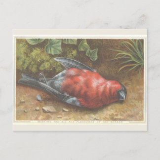 Tarjeta de Navidades de pájaros muertos de Victori