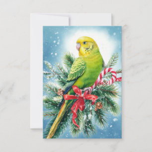 Tarjeta de Navidades de Parakeet y Candy Cane