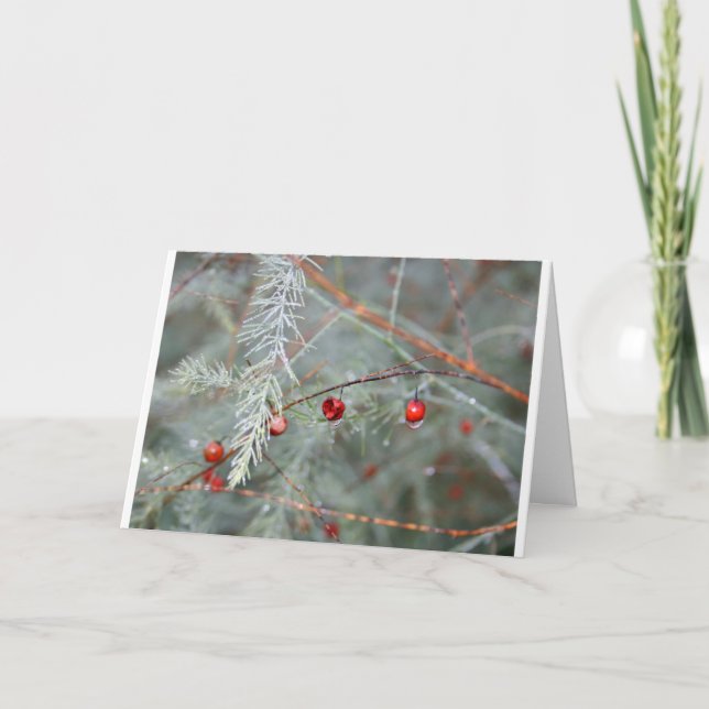Tarjeta de Navidades de Peace on Earth Gardener (Anverso)