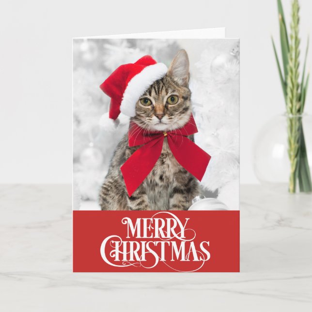 Tarjeta de Navidades de perro de gato mascota (Anverso)