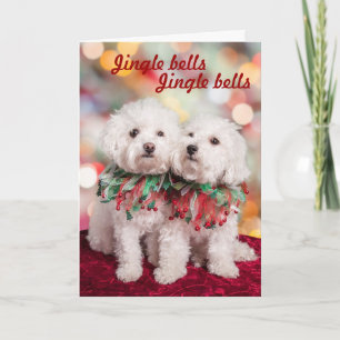 Tarjeta de Navidades de perros de Bichon Frise más