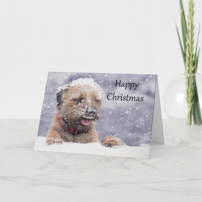 Tarjeta de Navidades de perros de borde territoria (Anverso)