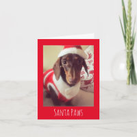 Tarjeta de Navidades de perros de salchicha