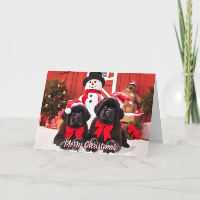 Tarjeta de Navidades de perros de Terranova 5x7 (Anverso)