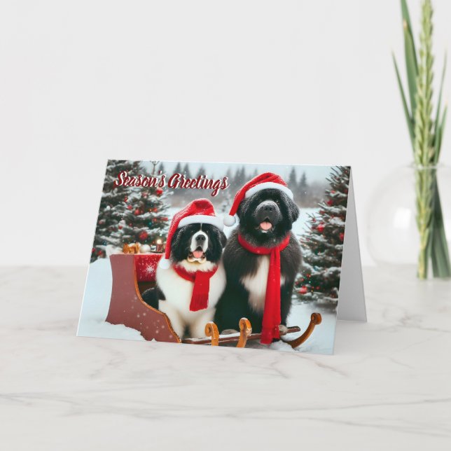 Tarjeta de Navidades de perros de Terranova en Sle (Anverso)