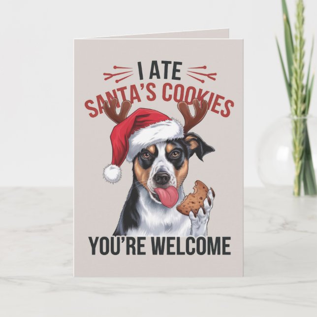 Tarjeta de Navidades de perros divertidos de Shepa (Anverso)