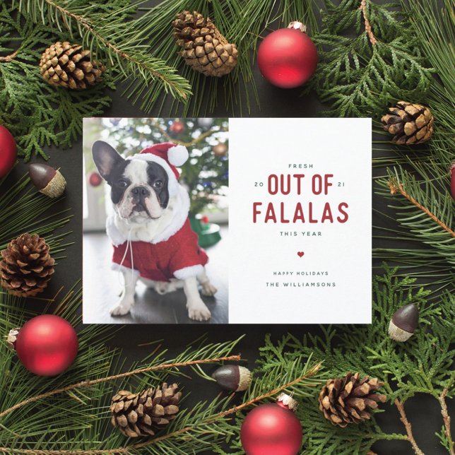 Tarjeta de Navidades de perros divertidos fuera de (Subido por el creador)