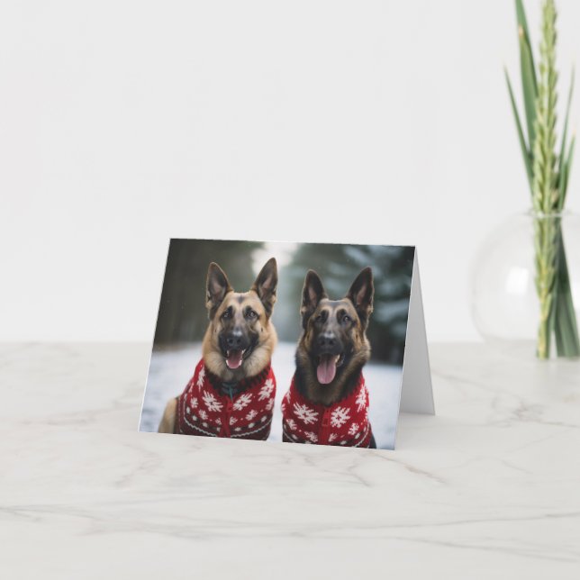 Tarjeta de Navidades de perros pastores belgas (Anverso)