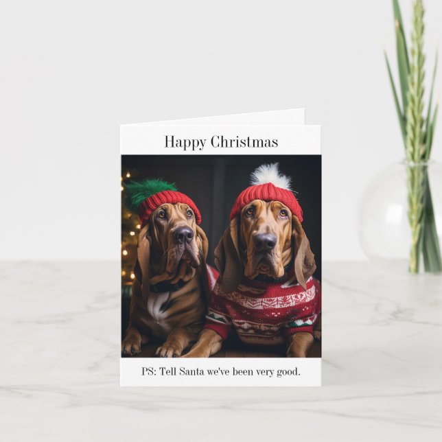 Tarjeta de Navidades de perros vagabundos (Anverso)