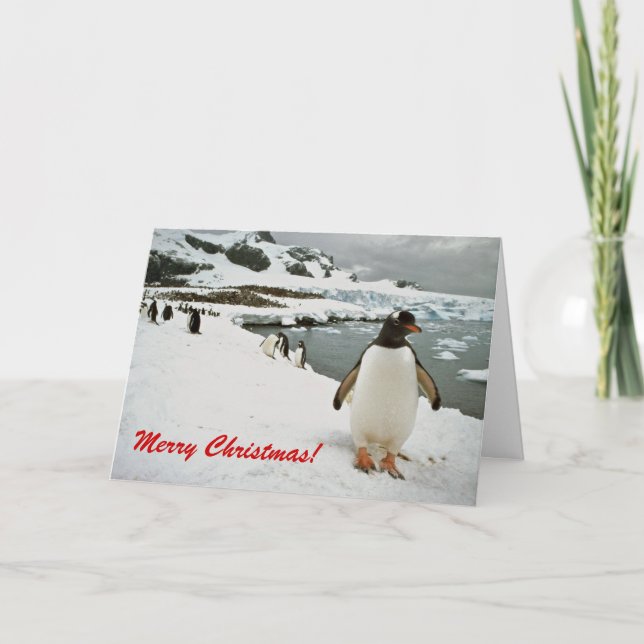 Tarjeta de Navidades de pingüinos de Gentoo en la  (Anverso)