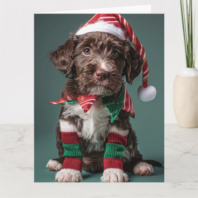 Tarjeta de Navidades de punteros Elf Puppy (Anverso)