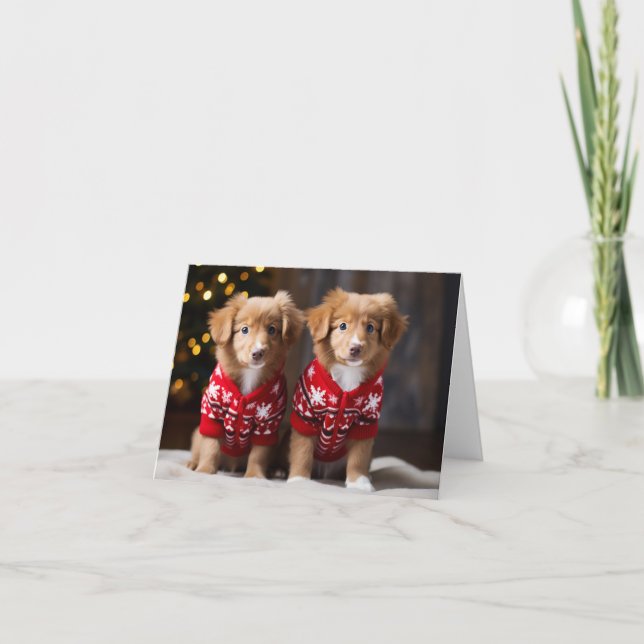 Tarjeta de Navidades de recuperadores de ducktolli (Anverso)