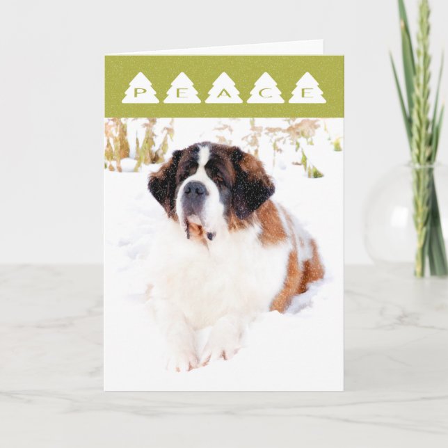 Tarjeta de Navidades de San Bernard (Anverso)