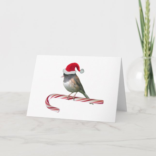 Tarjeta de Navidades de Santa Bird (Anverso)