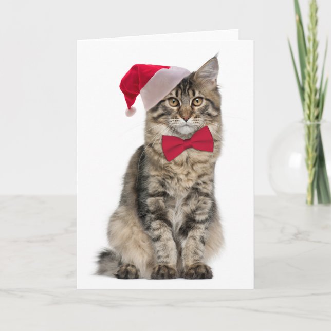 Tarjeta de Navidades de Santa Cat (Anverso)