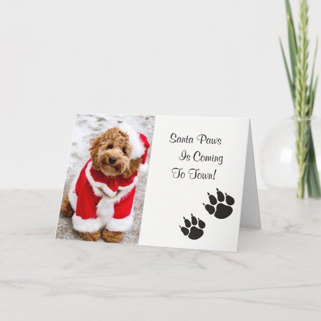 Tarjeta de Navidades de Santa Paws (Anverso)